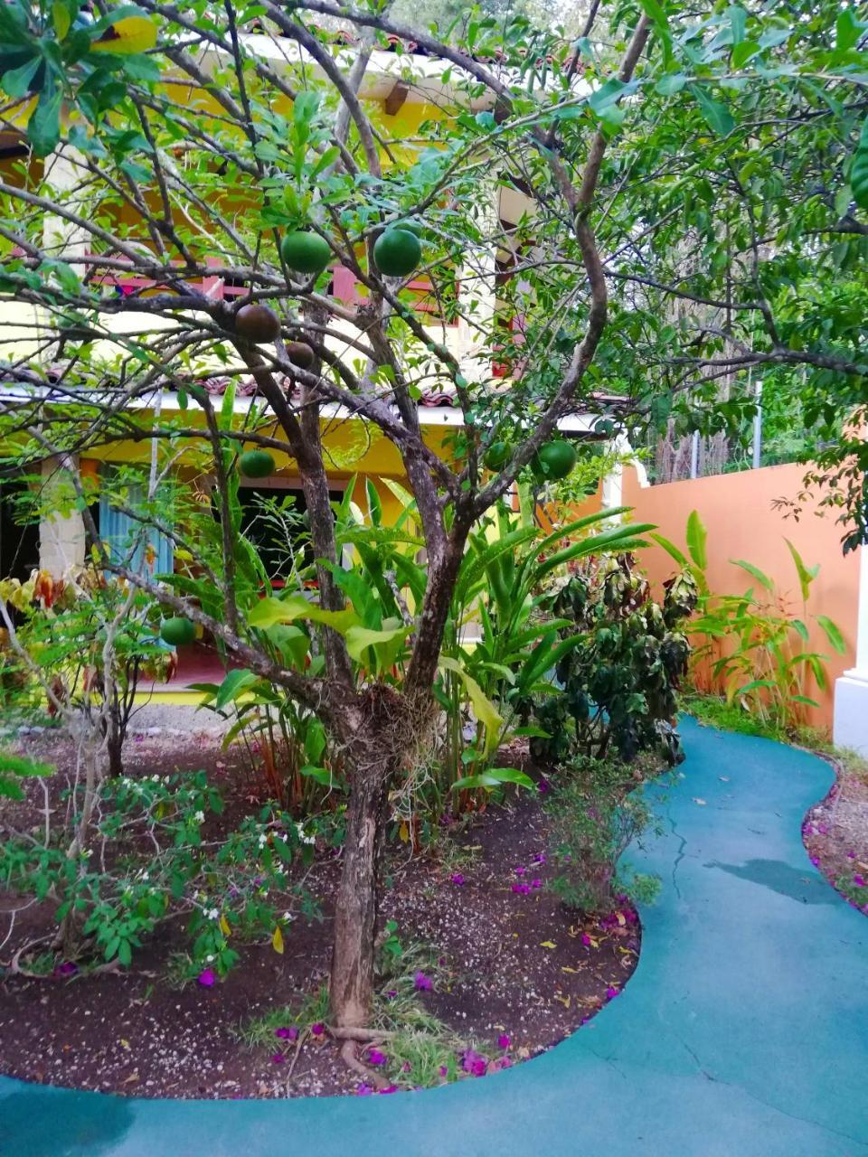 Villas Verdes Sámara Exterior foto
